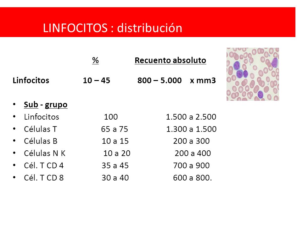que son los linfocitos mm3